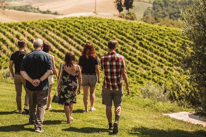 Montalcino Castle and Vineyards tour with tasting - A Walk Through the Experience