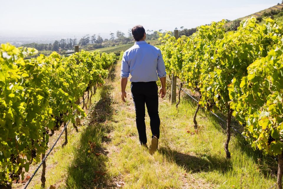 Montalcino: Castle and Vineyards Tour With Tasting - Itinerary Details