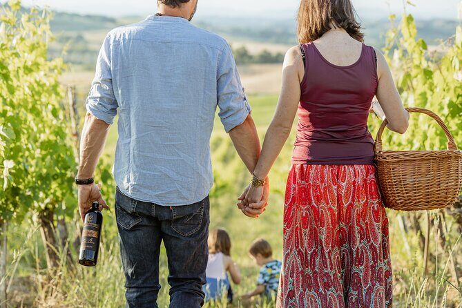 Montalcino: exclusive picnic in the vineyard with wine basket - An In-Depth Look at the Montalcino Vineyard Picnic