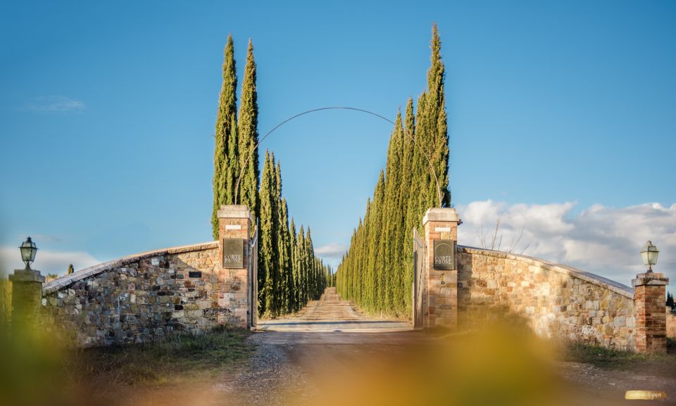 Montalcino: Gourmet Wine & Food Tasting - Tasting Options