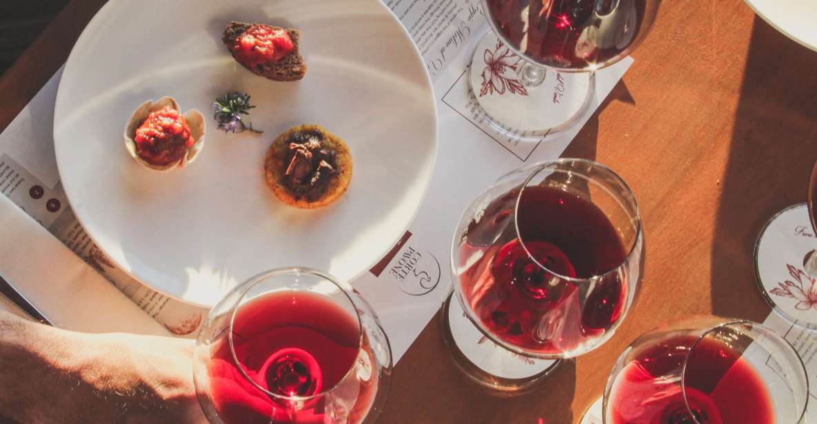 Montalcino: Gourmet Wine & Food Tasting - Tips for Visitors