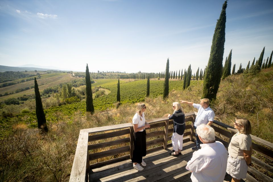 Montalcino: Guided Winery Tour and Wine Tasting - Key Points