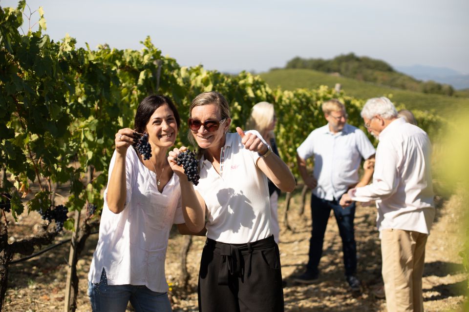 Montalcino: Guided Winery Tour and Wine Tasting - Wine Tasting Selections