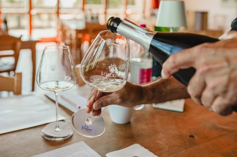 Montalcino: Guided Winery Tour & Gourmet Food Tasting - Practical Considerations