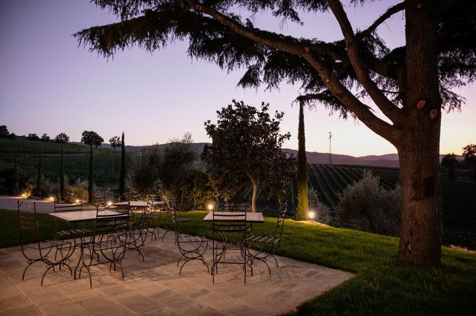 Montalcino: Premium Wine Tasting With Light-Lunch and Tour - Booking and Cancellation Policy