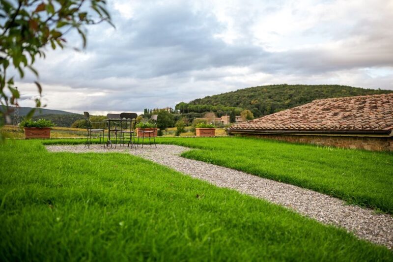 Montalcino: Vinyard Tour with Vertical Brunello Tasting - Why You Should Consider This Tour