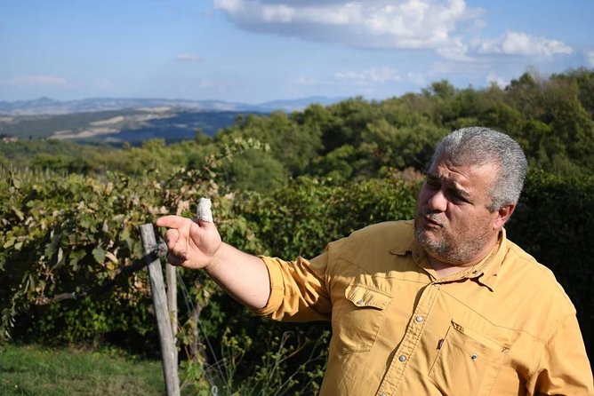 Montalcino Wine Tour Review: A Sipping Adventure - Montalcinos Renowned Wines