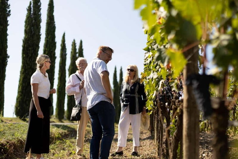 Montalcino: Winery Tour & Brunello Vertical Tasting - The Sum Up: A Genuine, Value-Focused Wine Experience