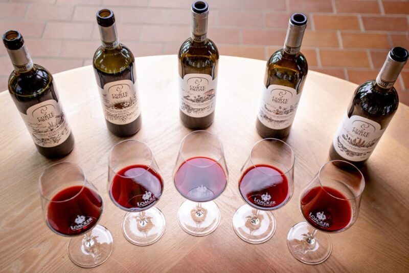 Montalcino: Winery Tour & Gourmet Brunello Vertical Tasting - Who Should Book This Tour?