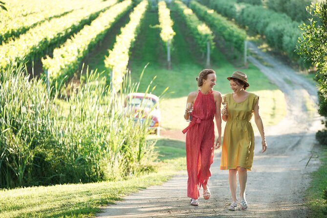 Montalto Vineyard: Mornington Peninsula Discovery Wine Tasting and Lunch - Key Points