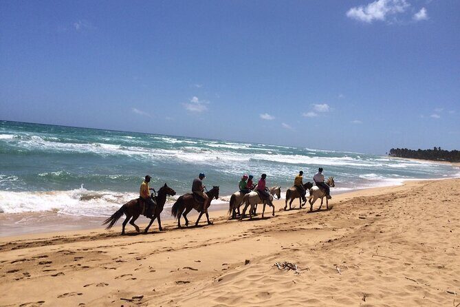Montaña Redonda & Horseback Riding 2-in-1 Tour from Punta Cana - Practical Considerations