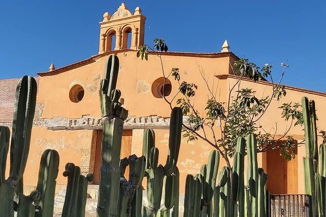 Monte Albán Bike Tour: history, culture and scenery. - Final Thoughts