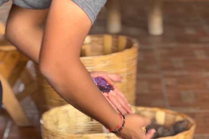 Monte Alban, Mezcal factory, chocolate and artisan houses - Is This Tour Worth It? Analyzing the Value