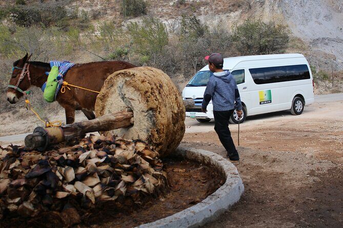 Monte Alban, Teotitlan and Mezcal Tour - Frequently Asked Questions