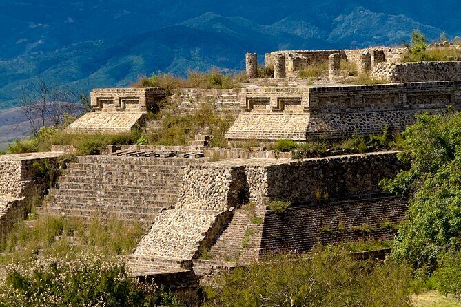 Monte Alban Tree of the Tule Mezcal and Teotitlan del Valle Tour - An In-Depth Look at the Tour
