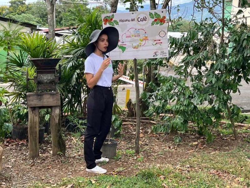 Monte Alto Coffee Tour: Jarabacoa Plantation Experience - Who Should Consider This Tour?