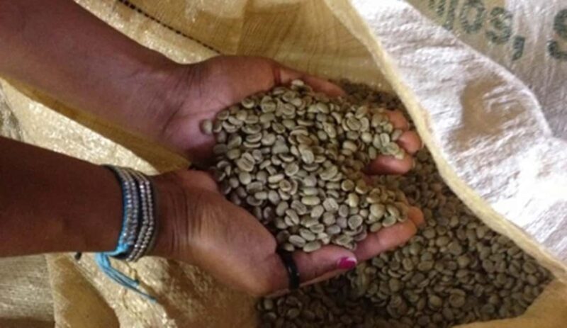 Monte Alto Coffee Tour: Jarabacoa Plantation Experience - FAQ