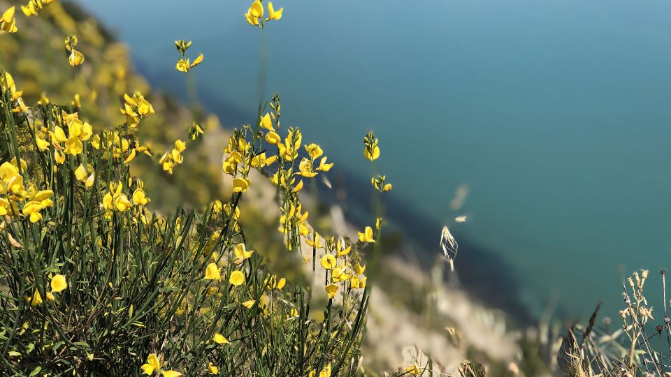Monte San Bartolo: E-Bike Rental With Picnic Basket - Pricing Information