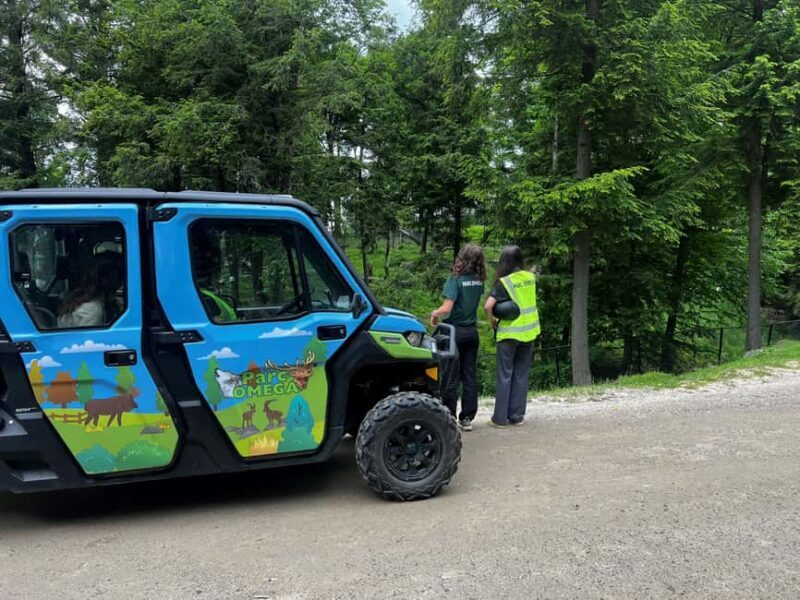 Montebello, QC: Omega Park Guided Animal Feeding in All-Terrain Vehicle - Final Thoughts