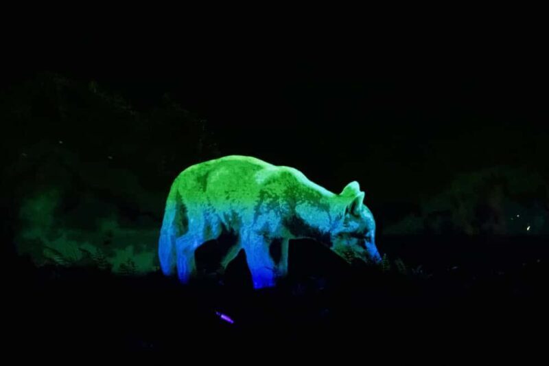 Montebello, QC: Omega Park ONIRO Immersive Experience at Night - The Practicalities: What You Need to Know