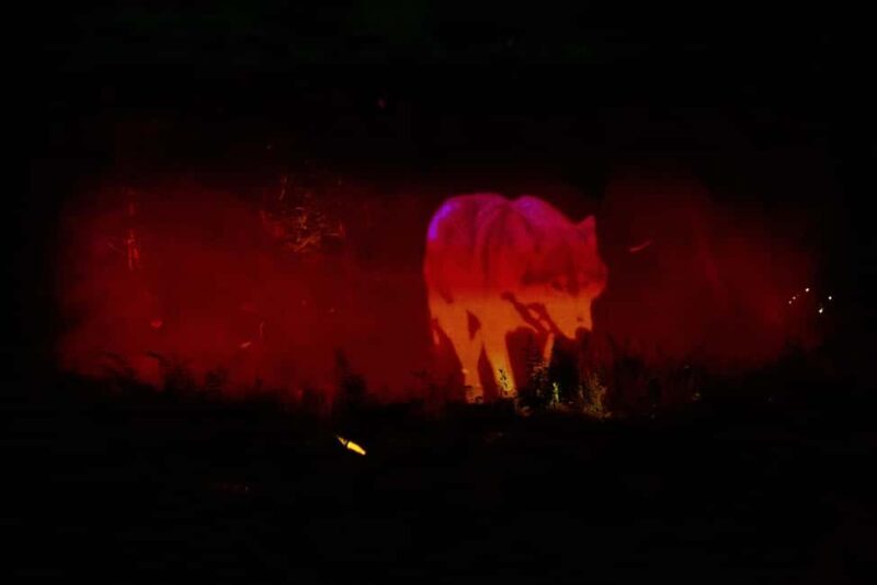 Montebello, QC: Omega Park ONIRO Immersive Experience at Night - Who Will Love ONIRO?