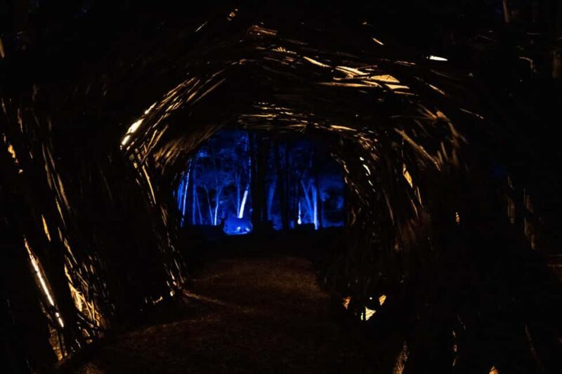 Montebello, QC: Omega Park ONIRO Immersive Experience at Night - FAQ