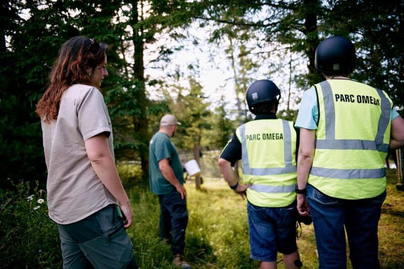 Montebello, QC: Parc Omega Guided Animal Feeding in an All-Terrain Vehicle - An Off-Road Adventure with a Personal Touch