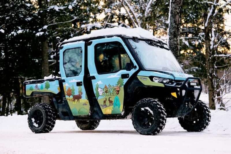 Montebello, QC: Parc Omega Guided Animal Feeding in an All-Terrain Vehicle - Price and Value Analysis