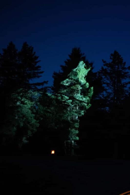 Montebello, QC: Parc Omega ONIRO Immersive Experience at Night - Who Will Love This Experience?