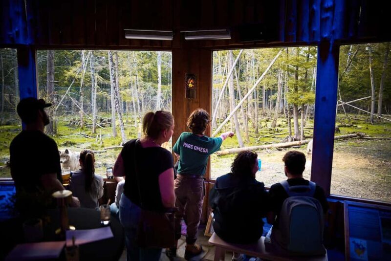 Montebello, QC: Parc Omega Wolves Experience with Cocktail & Guide - Key Points