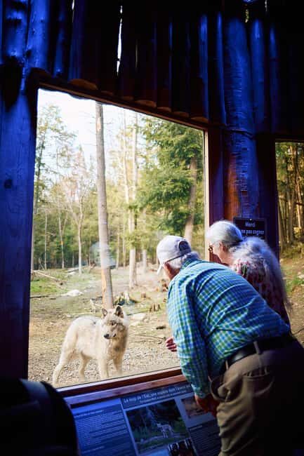 Montebello, QC: Parc Omega Wolves Experience with Cocktail & Guide - Access, Logistics, and Practicalities