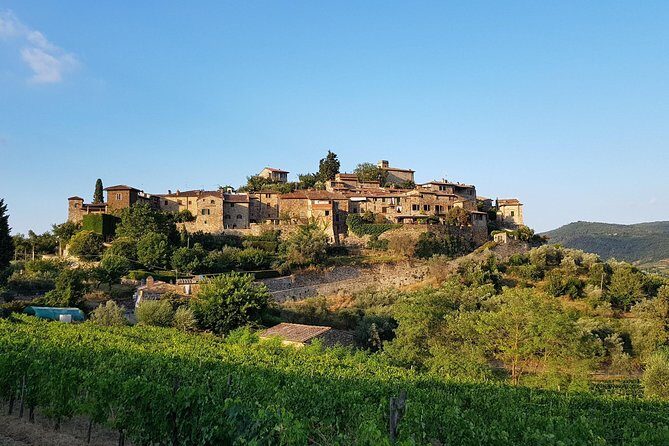 Montefioralle Winery - Tour and Wine Tasting in Chianti - Who Will Appreciate This Tour?