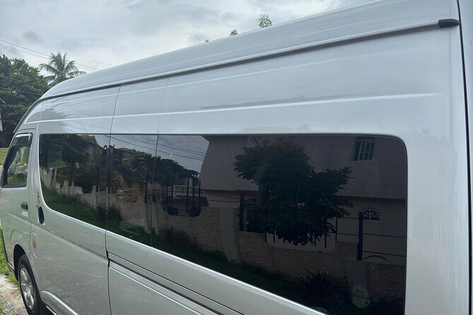 Montego Bay Airport and Riu Reggae Private Shuttle - Who Will Love This Service