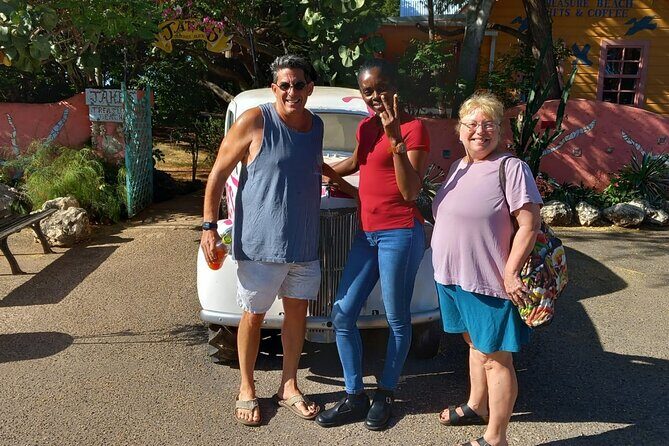 Montego Bay Airport Transfers Private Taxi to Hotels in Negril - Who Will Love This Service