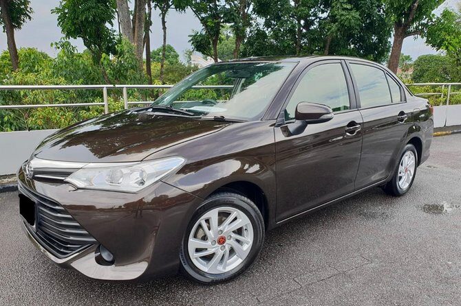 Montego Bay Airport Transfers To and From Montego Bay Hotels - The Sum Up