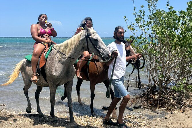 Montego Bay Beach Horseback Riding Tour - The Sum Up