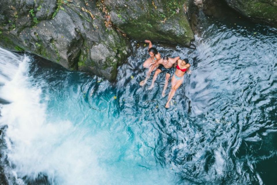 Montego Bay: Blue Mountain Hike With Waterfall Swim & Lunch - Exploring the Blue Mountains