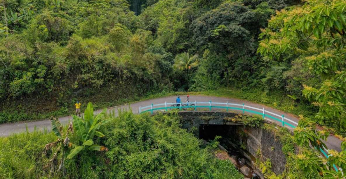 Montego Bay: Blue Mountain Private Bicycle Tour - Highlights of the Experience