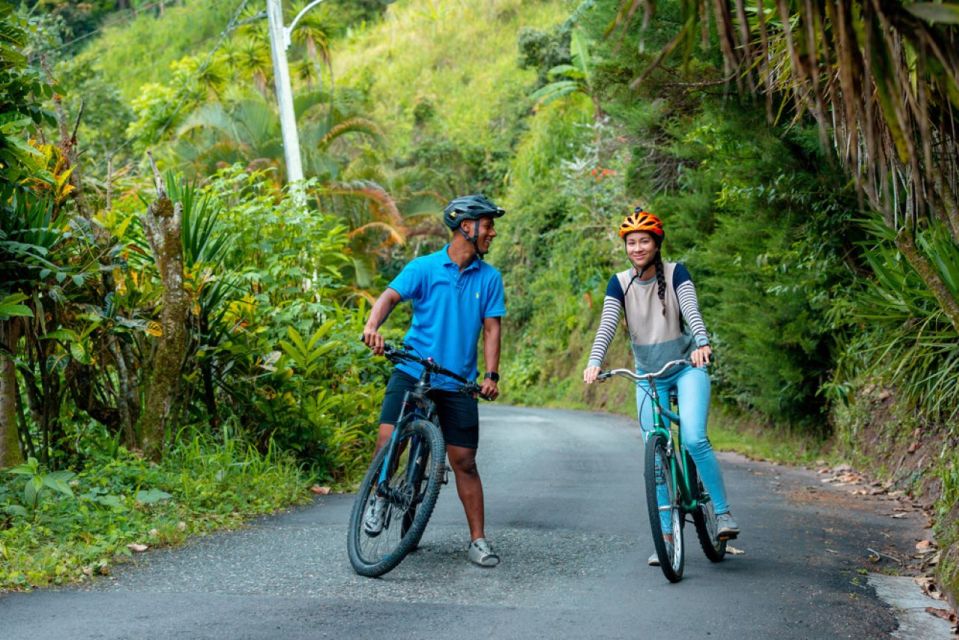 Montego Bay: Blue Mountain Private Bicycle Tour - Included in the Tour