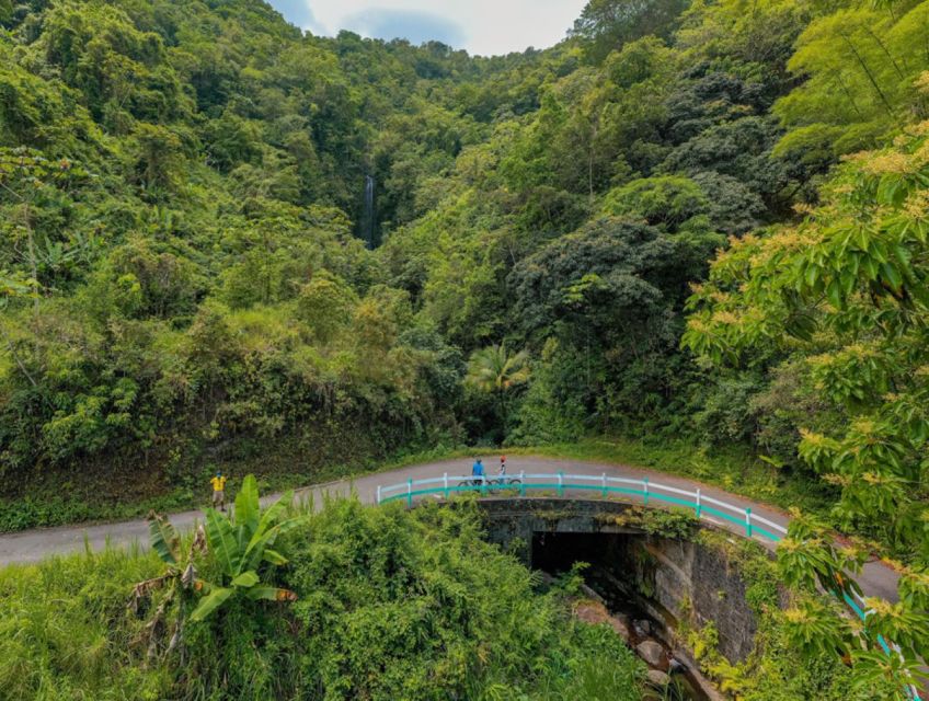 Montego Bay: Blue Mountain Private Bicycle Tour - Exclusions and Limitations