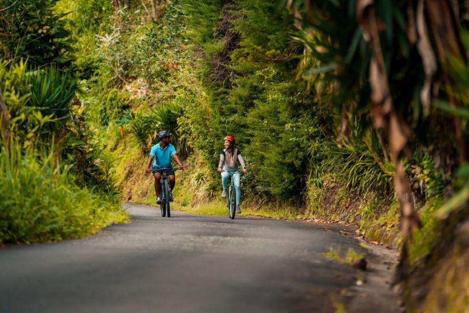 Montego Bay: Blue Mountain Private Bicycle Tour - Pickup and Transportation