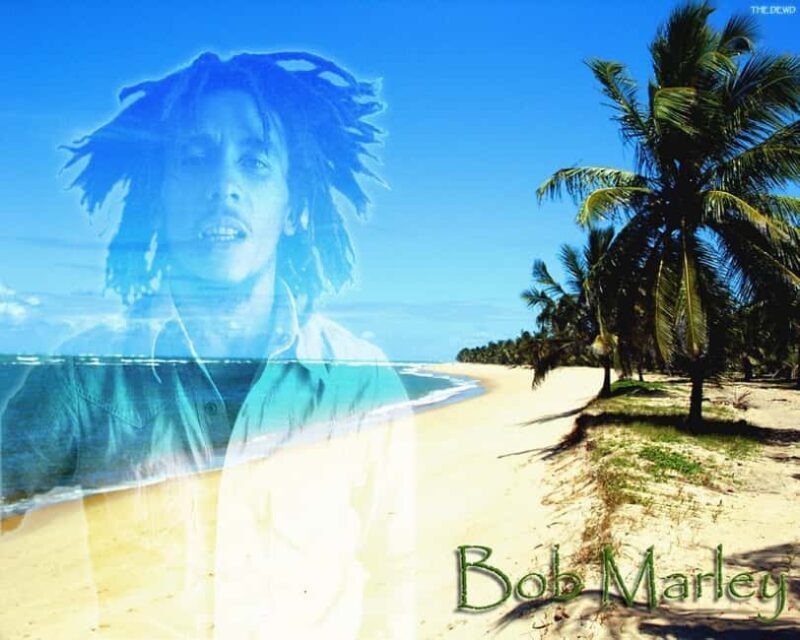 Montego Bay: Bob Marley Tour to 9 Mile, St. Ann - Key Points