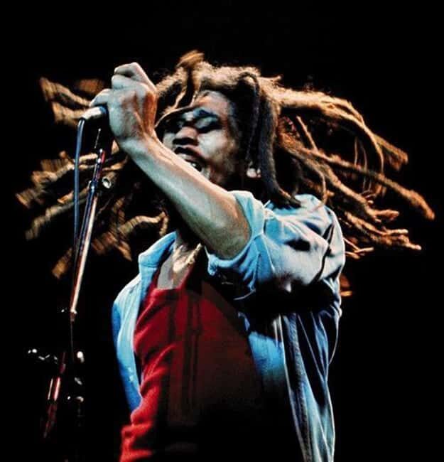 Montego Bay: Bob Marley Tour to 9 Mile, St. Ann - A Closer Look at the Itinerary and Experience