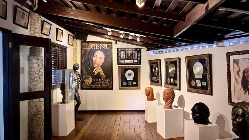 Montego Bay: Bob Marley Tour to 9 Mile, St. Ann - Who Should Book This Tour?