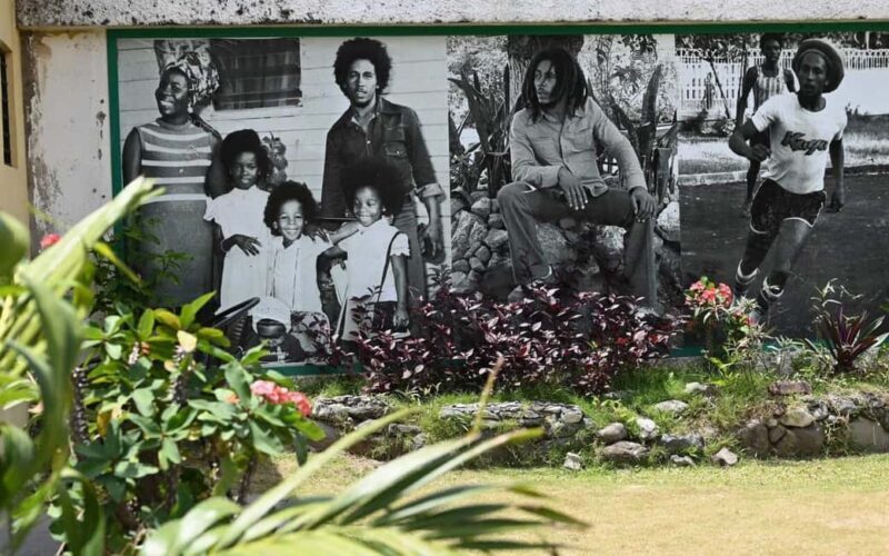 Montego Bay: Bob Marley Tour to 9 Mile, St. Ann - The Sum Up