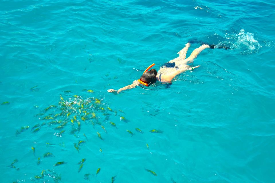 Montego Bay Catamaran Cruise and Snorkeling Tour - Key Points