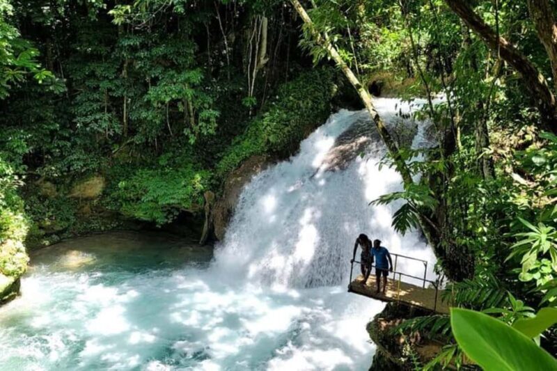 Montego Bay: Chuck Norris Falls & Dunn's River Falls Tour - An In-Depth Look at the Tour Itinerary