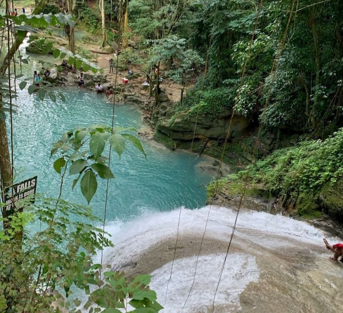 Montego Bay: Chuck Norris Secret Falls Tour With Lunch - Key Points