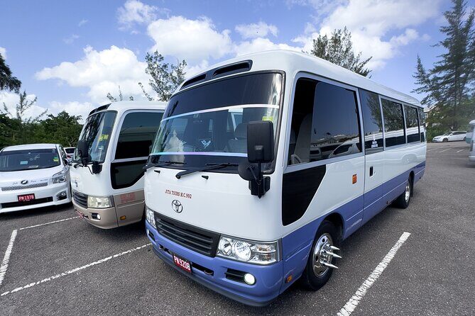 Montego Bay City highlight And Souvenir Shopping Group Tour - Key Points