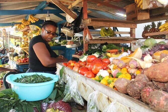 Montego Bay City Highlights & Bird Sanctuary & Shopping - Practical Tips for Participants  